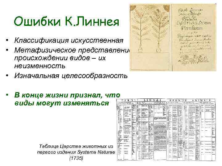 Ошибки К. Линнея • Классификация искусственная • Метафизическое представление о происхождении видов Ошибки К. Линнея • Классификация искусственная • Метафизическое представление о происхождении видов