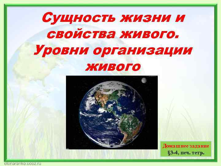 Сущность жизни и свойства живого. Уровни организации живого Домашнее Сущность жизни и свойства живого. Уровни организации живого Домашнее