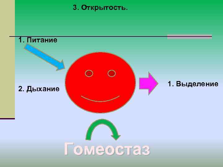 3. Открытость. 1. Питание 1. Выделение 3. Открытость. 1. Питание 1. Выделение