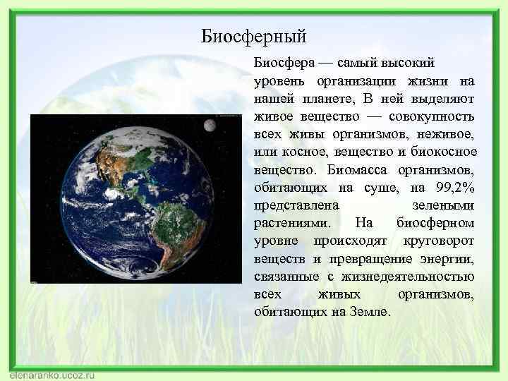 Биосферный Биосфера — самый высокий уровень организации жизни на нашей планете, В ней выделяют
