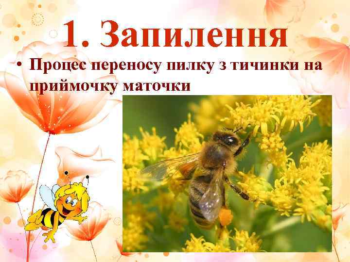  1. Запилення • Процес переносу пилку з тичинки на  приймочку маточки 