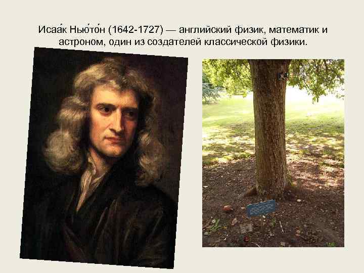 Исаа к Нью то н (1642 -1727) — английский физик, математик и астроном, один