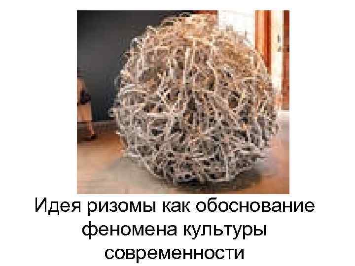 Идея ризомы как обоснование феномена культуры  современности 