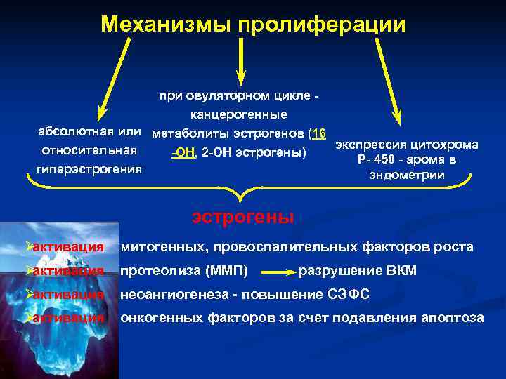 Механизмы пролиферации при овуляторном цикле - Механизмы пролиферации при овуляторном цикле -