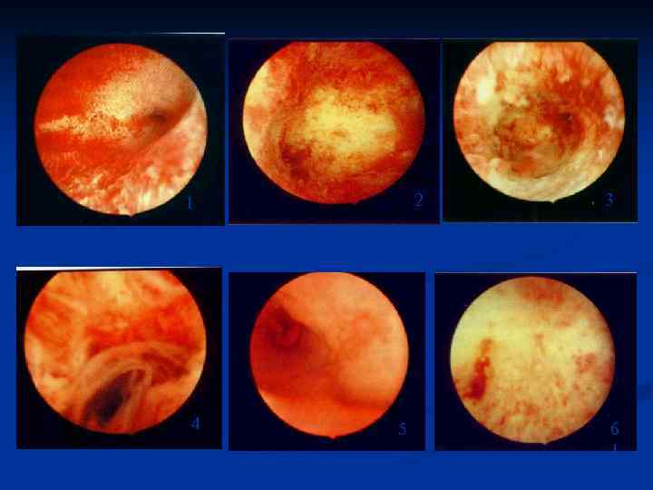 1 2 3 4 5 6 1 1 2 3 4 5 6 1