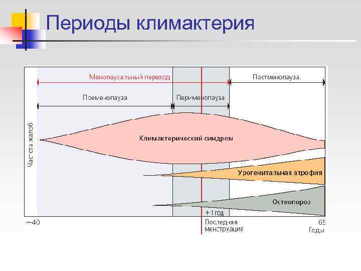 Периоды климактерия 