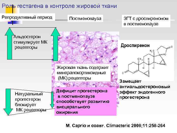 Роль гестагена в контроле жировой ткани Репродуктивный период  Постменопауза  ЗГТ с дроспиреноном