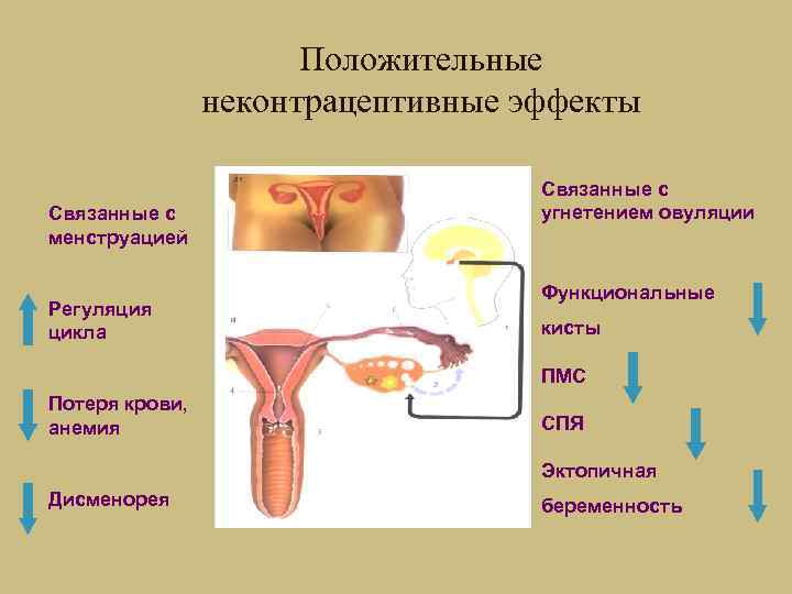      Положительные   неконтрацептивные эффекты    
