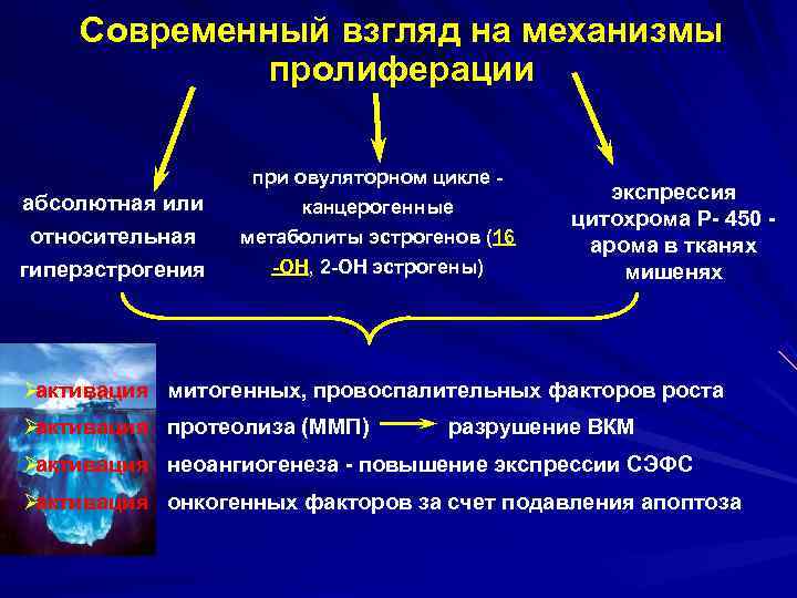   Современный взгляд на механизмы   пролиферации     при