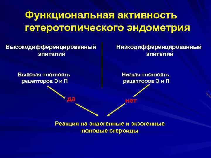 Функциональная активность гетеротопического эндометрия Высокодифференцированный Низкодифференцированный эпителий Высокая плотность Функциональная активность гетеротопического эндометрия Высокодифференцированный Низкодифференцированный эпителий Высокая плотность