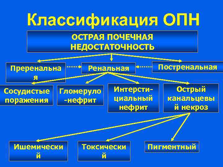 Классификация ОПН ОСТРАЯ ПОЧЕЧНАЯ НЕДОСТАТОЧНОСТЬ Преренальна я Сосудистые поражения Гломеруло -нефрит Ишемически й Постренальная