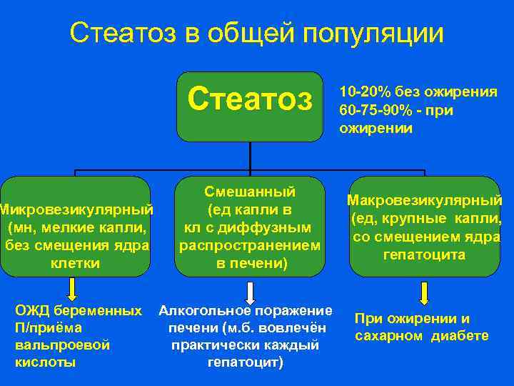 Стеатоз в общей популяции Стеатоз Микровезикулярный (мн, мелкие капли, без смещения ядра клетки ОЖД