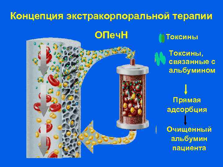 Концепция экстракорпоральной терапии ОПеч. Н Токсины, связанные с альбумином Прямая адсорбция Очищенный альбумин пациента