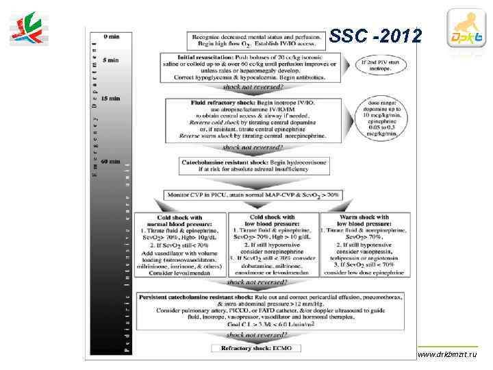     SSC -2012 «Сепсис у детей»     ДРКБ