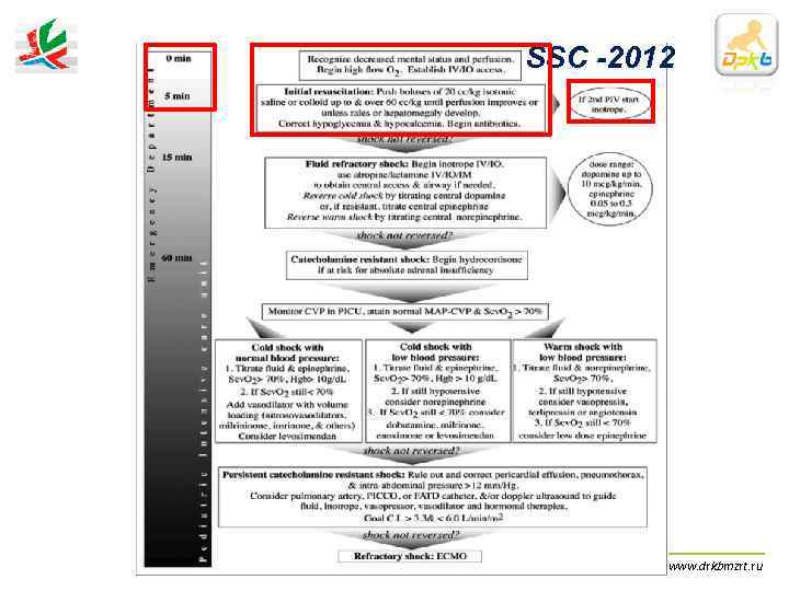     SSC -2012 «Сепсис у детей»     ДРКБ
