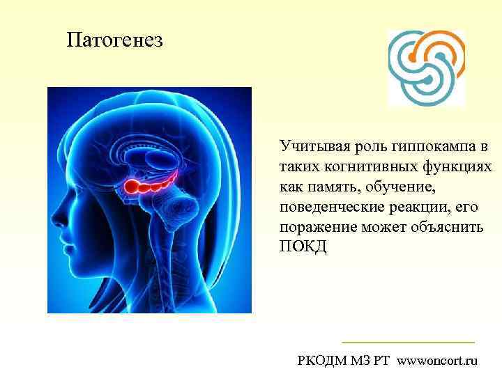 Патогенез    Учитывая роль гиппокампа в   таких когнитивных функциях 