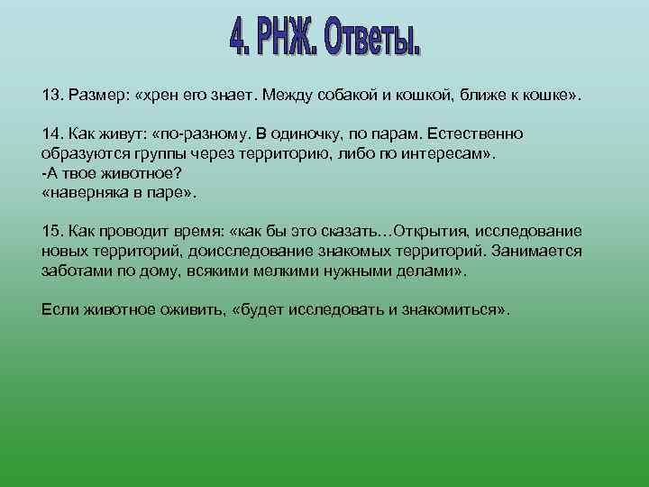 13. Размер:  «хрен его знает. Между собакой и кошкой, ближе к кошке» .