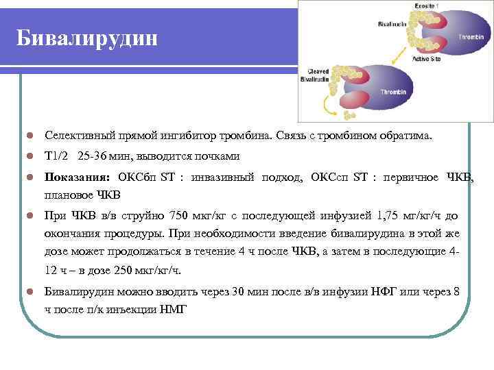 Бивалирудин  l  Селективный прямой ингибитор тромбина. Связь с тромбином обратима. l 
