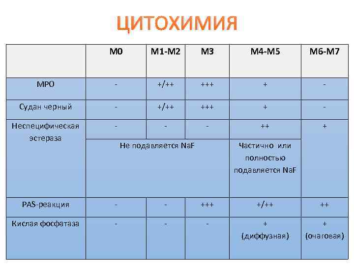    ЦИТОХИМИЯ    М 0   М 1