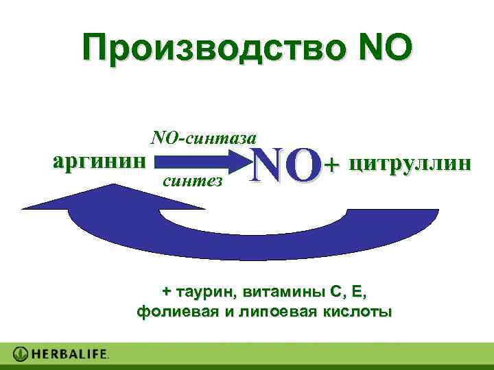  Производство NO  NO-синтаза аргинин  синтез  NO + цитруллин  