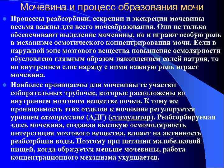   Мочевина и процесс образования мочи l Процессы реабсорбции, секреции и экскреции мочевины
