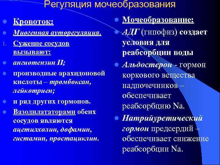    Регуляция мочеобразования l  Кровоток:    l Мочеобразование: l