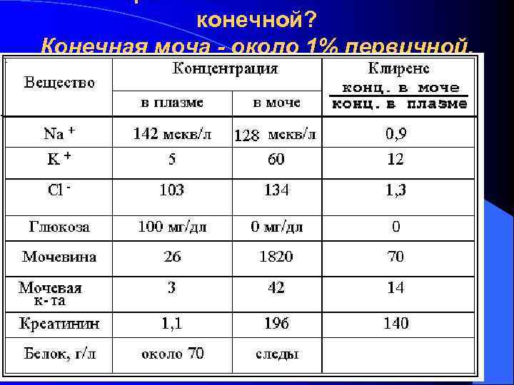  Чем первичная моча отличается от   конечной? Конечная моча - около 1%