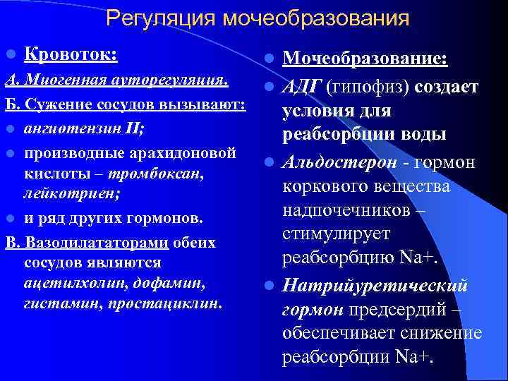   Регуляция мочеобразования l  Кровоток:    l Мочеобразование: А. Миогенная