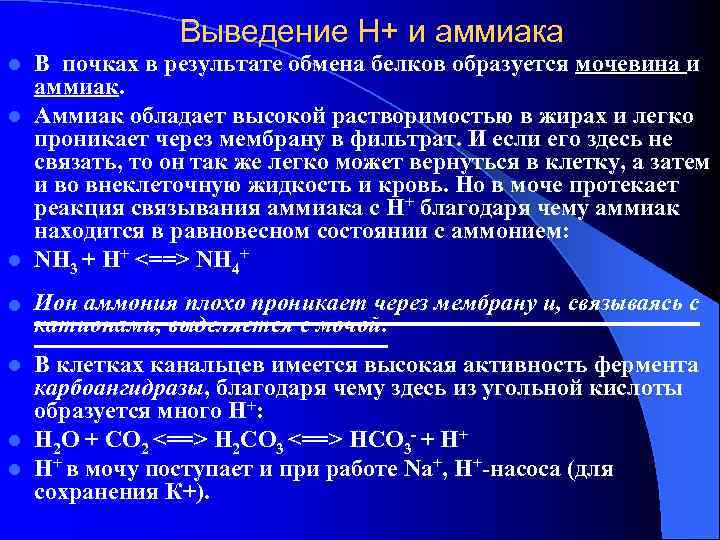     Выведение Н+ и аммиака l В почках в результате обмена