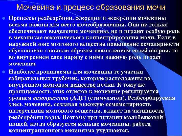   Мочевина и процесс образования мочи l Процессы реабсорбции, секреции и экскреции мочевины