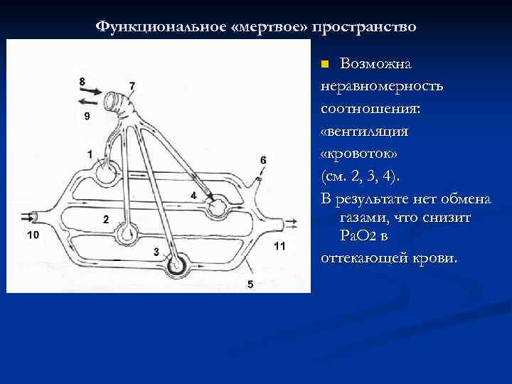 Функциональное «мертвое» пространство      n Возможна    