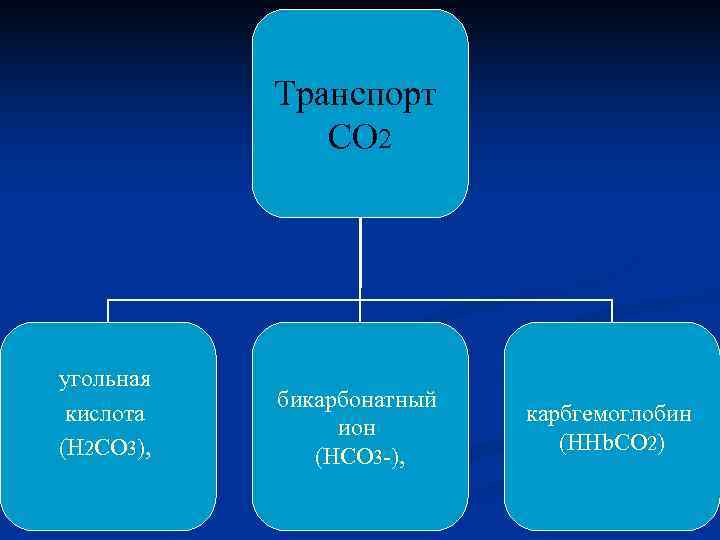   Транспорт    СО 2 угольная  бикарбонатный кислота  