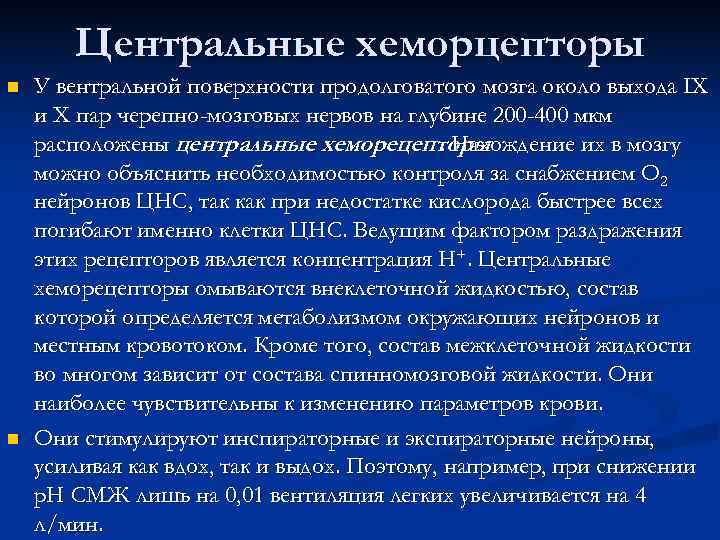   Центральные хеморцепторы n  У вентральной поверхности продолговатого мозга около выхода IХ