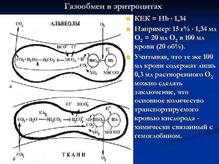 Газообмен в эритроцитах    n  КЕК = Нb  1, 34