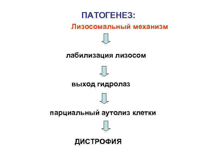   ПАТОГЕНЕЗ:  Лизосомальный механизм лабилизация лизосом  выход гидролаз  парциальный аутолиз