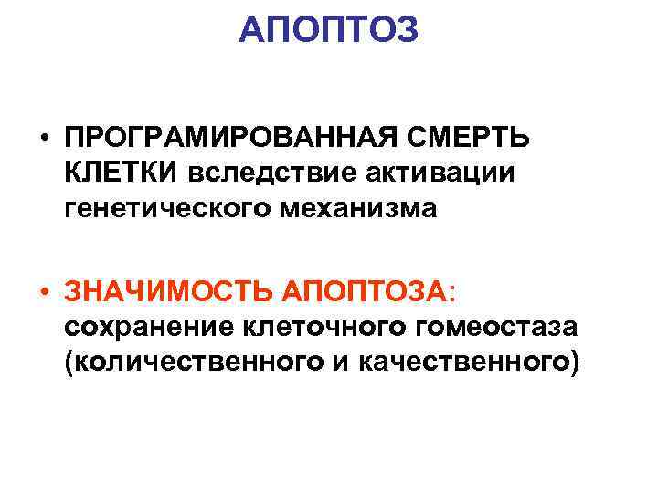   АПОПТОЗ  • ПРОГРАМИРОВАННАЯ СМЕРТЬ  КЛЕТКИ вследствие активации  генетического механизма