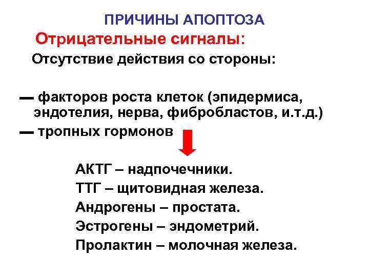   ПРИЧИНЫ АПОПТОЗА  Отрицательные сигналы:  Отсутствие действия со стороны:  ▬