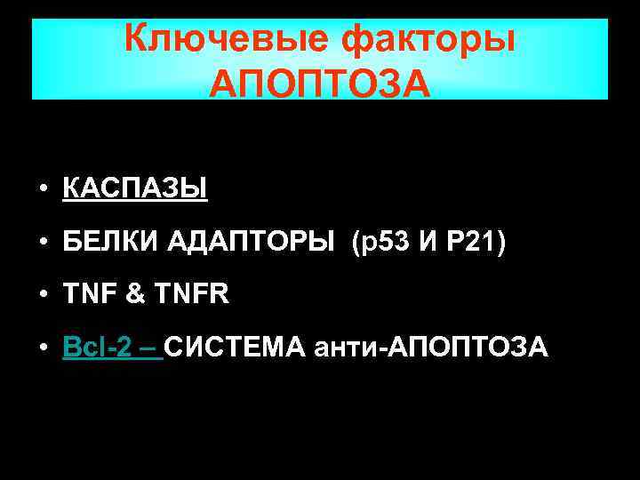  Ключевые факторы   АПОПТОЗА  • КАСПАЗЫ • БЕЛКИ АДАПТОРЫ (p 53