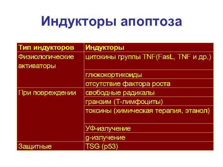 Индукторы апоптоза 