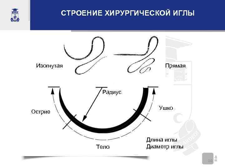    СТРОЕНИЕ ХИРУРГИЧЕСКОЙ ИГЛЫ Изогнутая      Прямая 