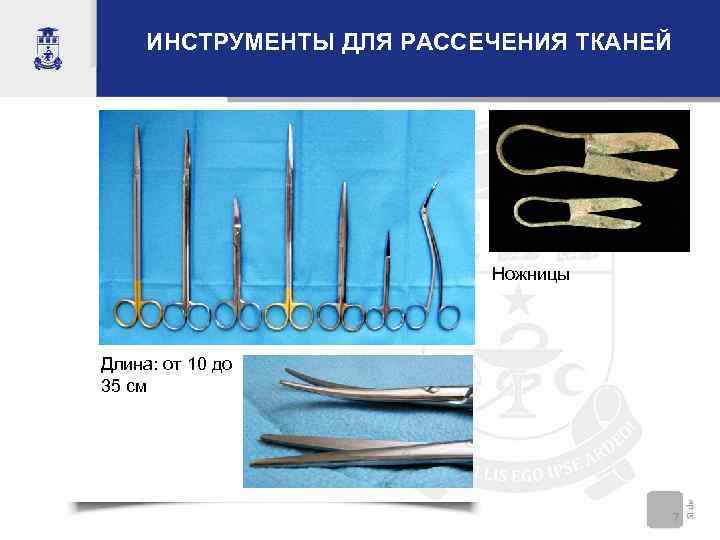  ИНСТРУМЕНТЫ ДЛЯ РАССЕЧЕНИЯ ТКАНЕЙ      Ножницы Длина: от 10