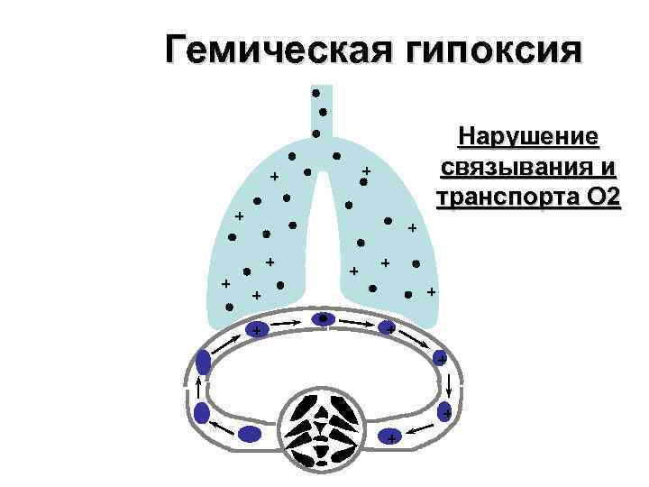 Гемическая гипоксия       Нарушение    + 