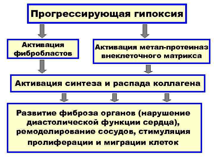   Прогрессирующая гипоксия  Активация метал-протеиназ фибробластов  внеклеточного матрикса  Активация синтеза