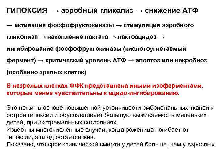 ГИПОКСИЯ → аэробный гликолиз → снижение АТФ → активация фосфофруктокиназы → стимуляция аэробного гликолиза