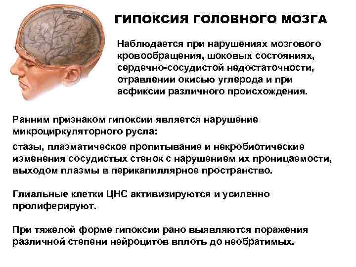    ГИПОКСИЯ ГОЛОВНОГО МОЗГА    Наблюдается при нарушениях мозгового 