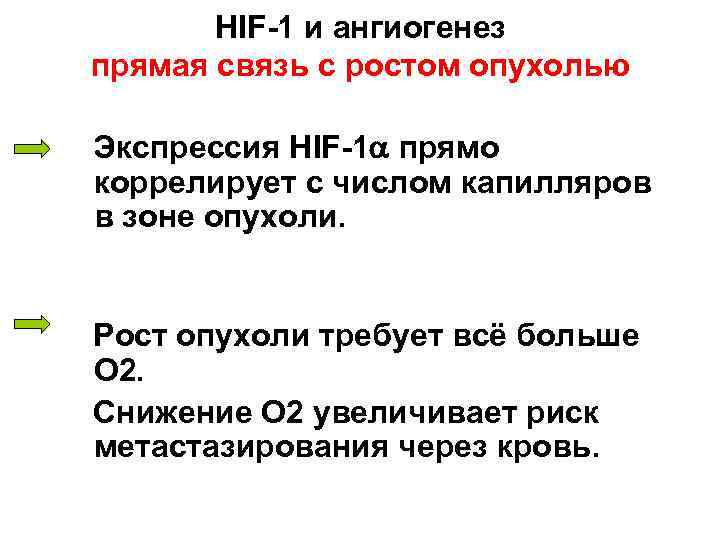   HIF-1 и ангиогенез прямая связь с ростом опухолью Экспрессия HIF-1 прямо коррелирует