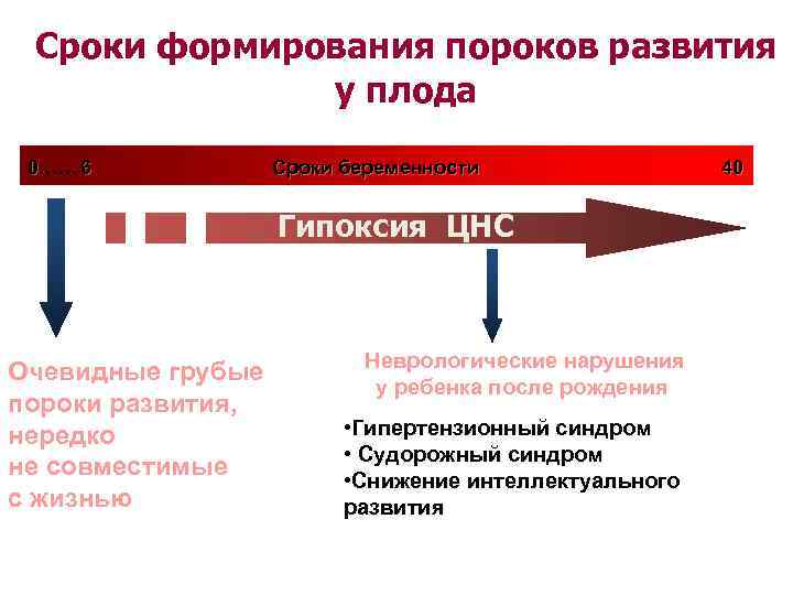  Сроки формирования пороков развития    у плода  0  6