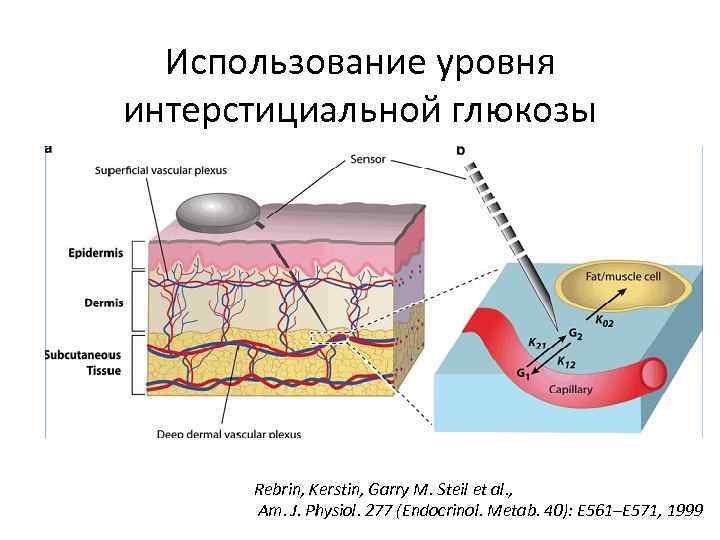  Использование уровня интерстициальной глюкозы  Rebrin, Kerstin, Garry M. Steil et al. ,