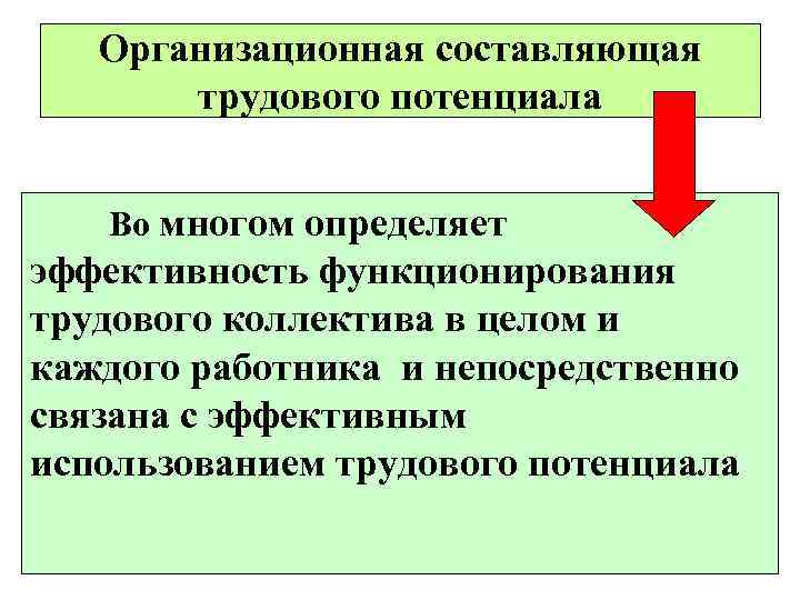   Организационная составляющая  трудового потенциала Во многом определяет эффективность функционирования трудового коллектива