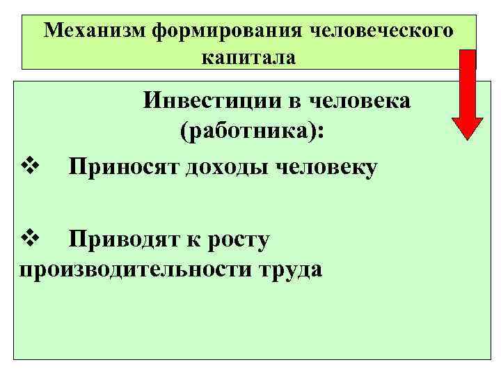 Механизм формирования. Механизмы формирования человеческого капитала. Методы формирования человеческого капитала. Как формируется человеческий капитал. Пример развития человеческого капитала.